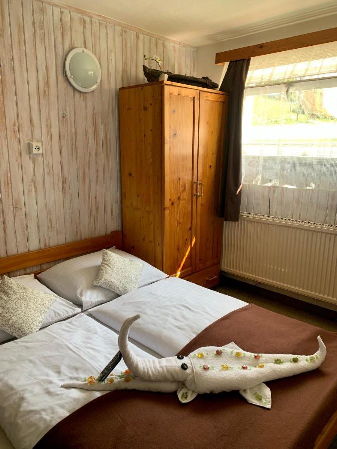 Penzion Vanessa Lipová-lázně Dış mekan fotoğraf